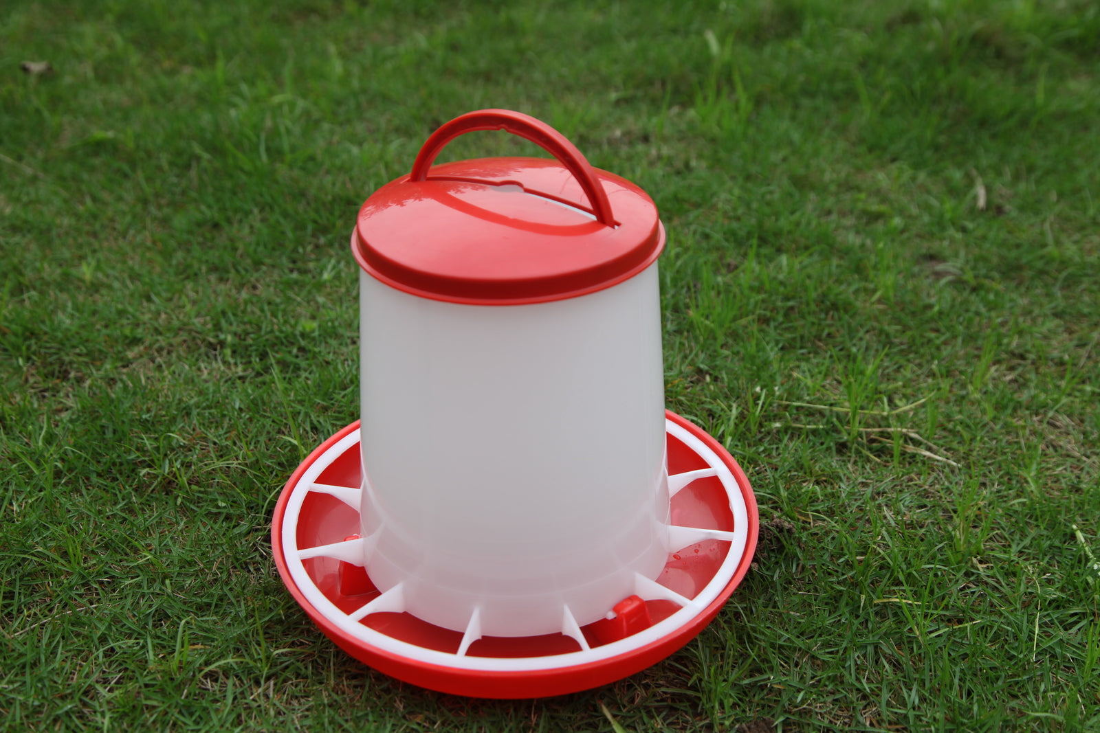 YES4PETS Farm Poultry Bird Chicken Water Drinker 3 L & 3 kg Food Grain Seed Feeder Set V278-CHICKEN-DRINKER-FEEDER