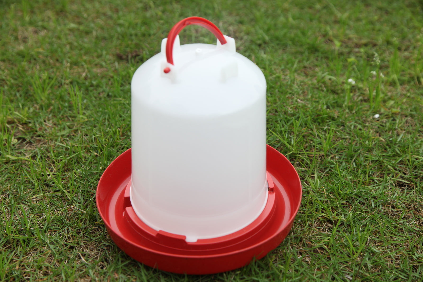 YES4PETS Farm Poultry Bird Chicken Water Drinker 3 L & 3 kg Food Grain Seed Feeder Set V278-CHICKEN-DRINKER-FEEDER