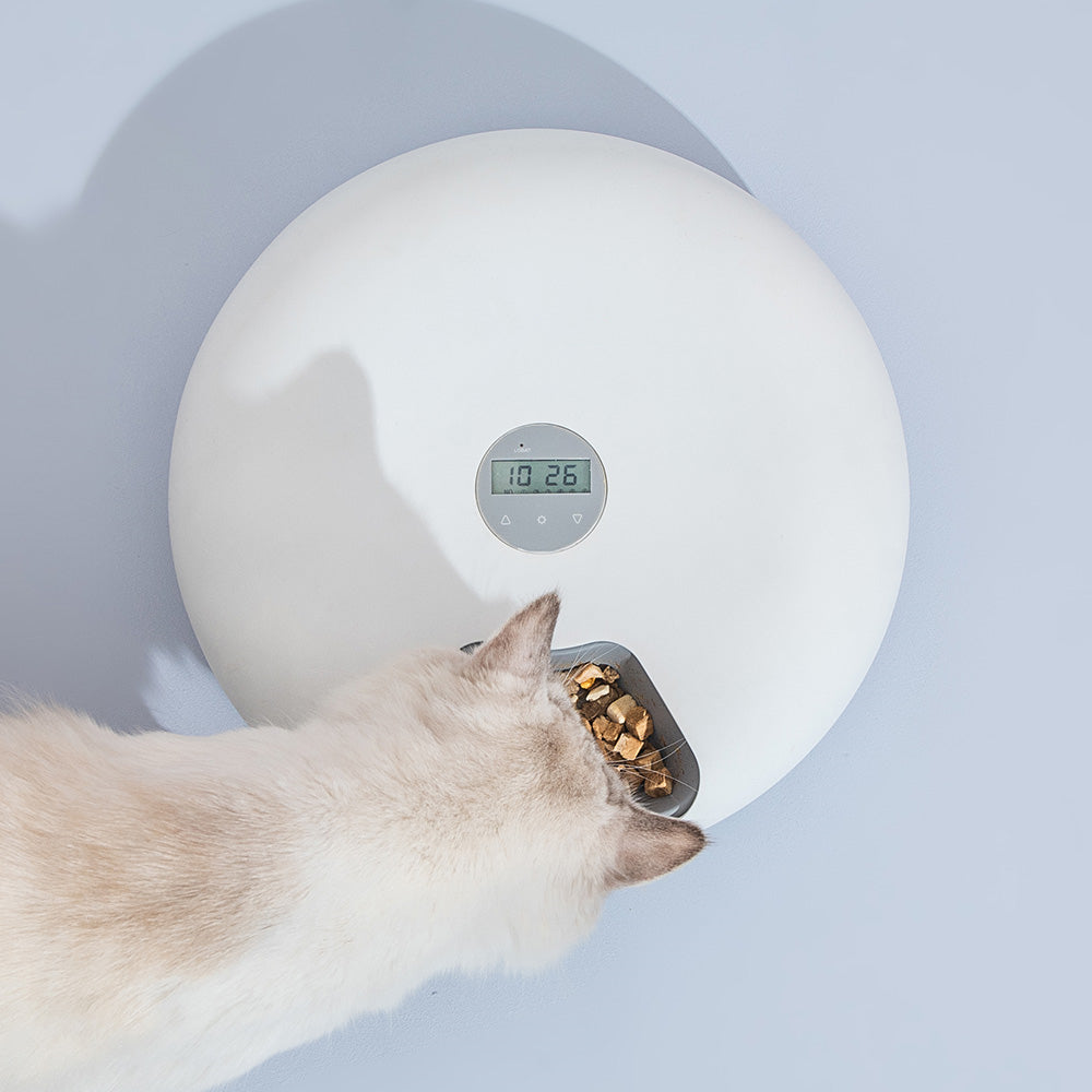 6 Meal Automatic Pet Dog Cat Food Feeder Dispenser with Programmable Timer White V278-F6-LED-MEAL6-FEEDER-WHITE