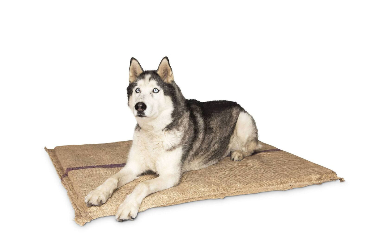 Jumbo Hessian Pet Dog Puppy Bed Mat Pad House Kennel Cushion With Foam 110 x 78 cm V278-HESSIAN-BED-JUMBO