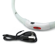 YES4PETS Medium 55CM LED Dog Collar USB Rechargeable Night Glow Flashing Light Up Safety Pet Collars V278-LED-COLLAR-M-55