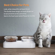 YES4PETS Pet Bowl Water Bowls Portable Anti Slip Skid Feeder Dog Rabbit Cat V278-PB-01D-PET-FEEDER