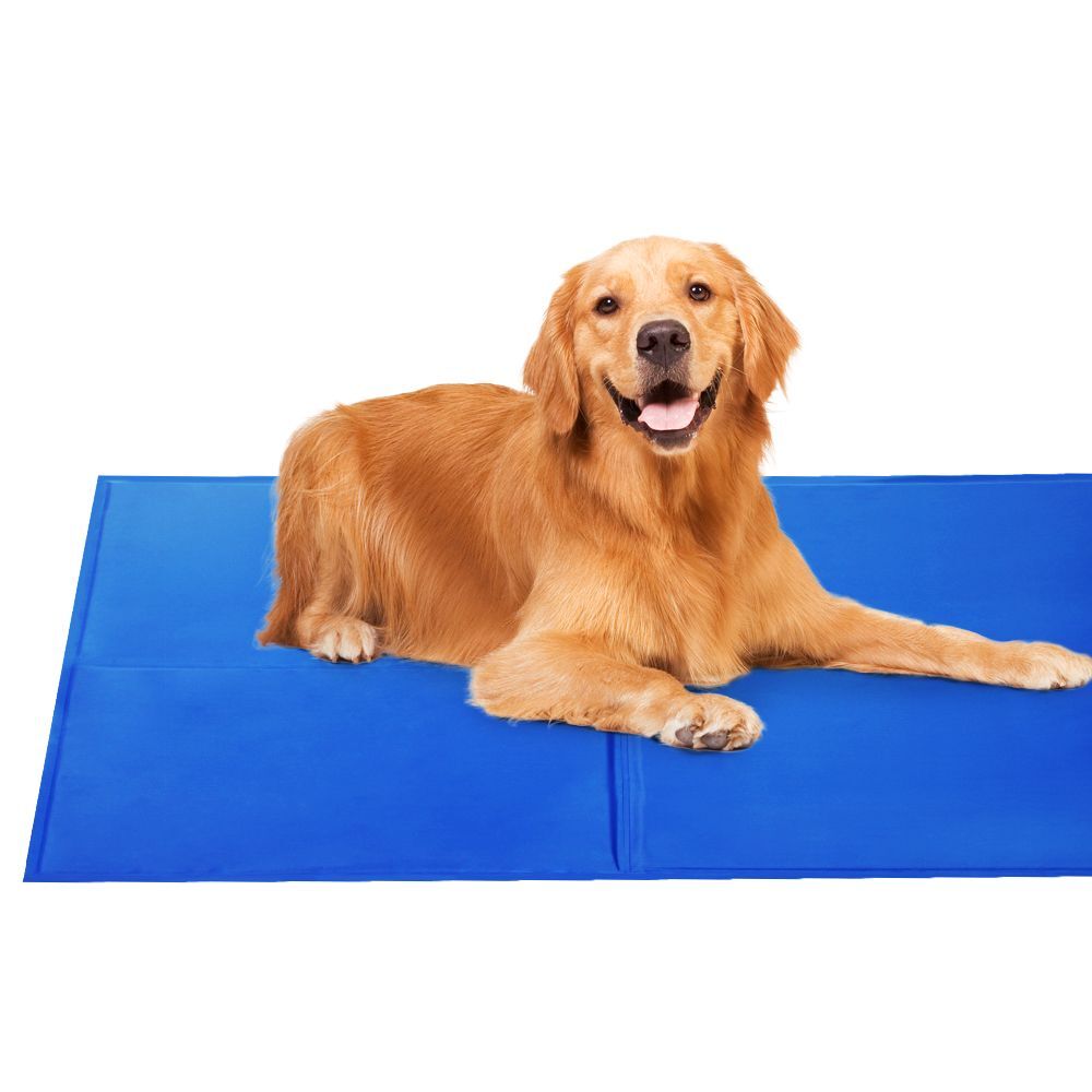 2 X Pet Cooling Bed Gel Mat Dog Cat Non-Toxic Cool Pad Puppy Cold Summer 50x40 CM V278-PET-BED-COOL-MX2