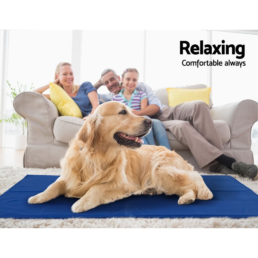 2 X Pet Cooling Bed Gel Mat Dog Cat Non-Toxic Cool Pad Puppy Cold Summer 50x40 CM V278-PET-BED-COOL-MX2