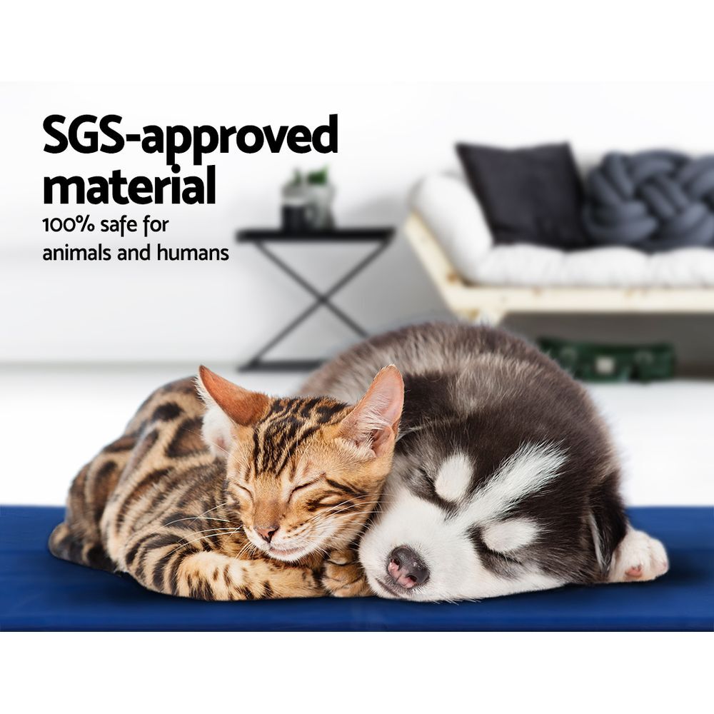 2 X Pet Cooling Bed Gel Mat Dog Cat Non-Toxic Cool Pad Puppy Cold Summer 50x40 CM V278-PET-BED-COOL-MX2