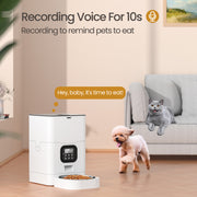 YES4PETS 6L Automatic Digital Pet Dog Cat Feeder Food Bowl Dispenser V278-PF-128-FEEDER-6009-0833