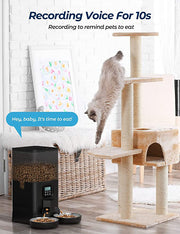 YES4PETS 6L Automatic Digital Pet Dog Cat Feeder Double Food Bowl Dispenser V278-PF-128D-FEEDER-6010-0014