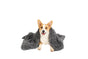 YES4PETS Pet Calming Plush Blanket Dog Cat Rug Puppy Kitten Soft Warmth Fleece 127X100 cm V278-PLUSH-BLANKET-XL