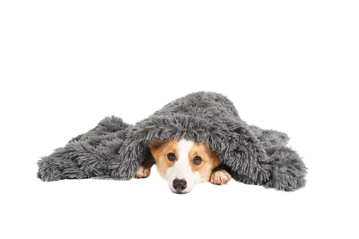 YES4PETS Pet Calming Plush Blanket Dog Cat Rug Puppy Kitten Soft Warmth Fleece 127X100 cm V278-PLUSH-BLANKET-XL
