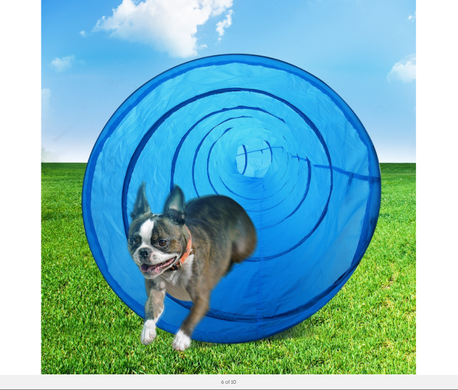 YES4PETS Portable Pet Dog Agility Training Exercise Cat Tunnel Chute with Carry Bag 5M V278-PT52560
