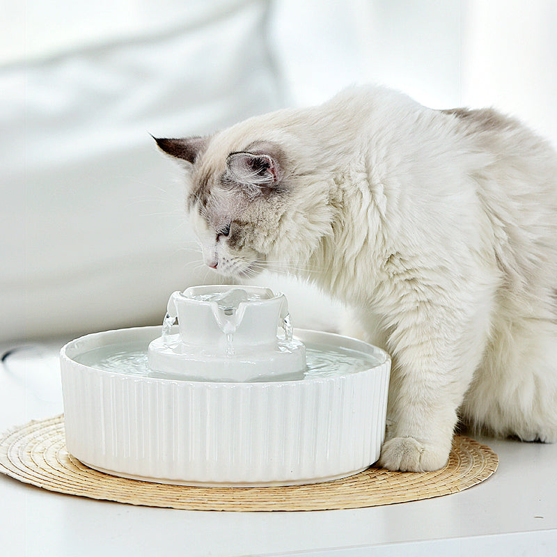 YES4PETS Porcelain Electric Pet Water Fountain Dog Cat Ceramic Water Feeder Bowl Dispenser V278-PWC-101