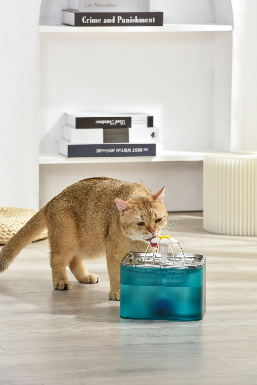 YES4PETS 3L Automatic Electric Pet Water Fountain Dog Cat Stainless Steel Feeder Bowl Dispenser Green V278-PWS-106-GREEN