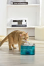 YES4PETS 3L Automatic Electric Pet Water Fountain Dog Cat Stainless Steel Feeder Bowl Dispenser Green V278-PWS-106-GREEN