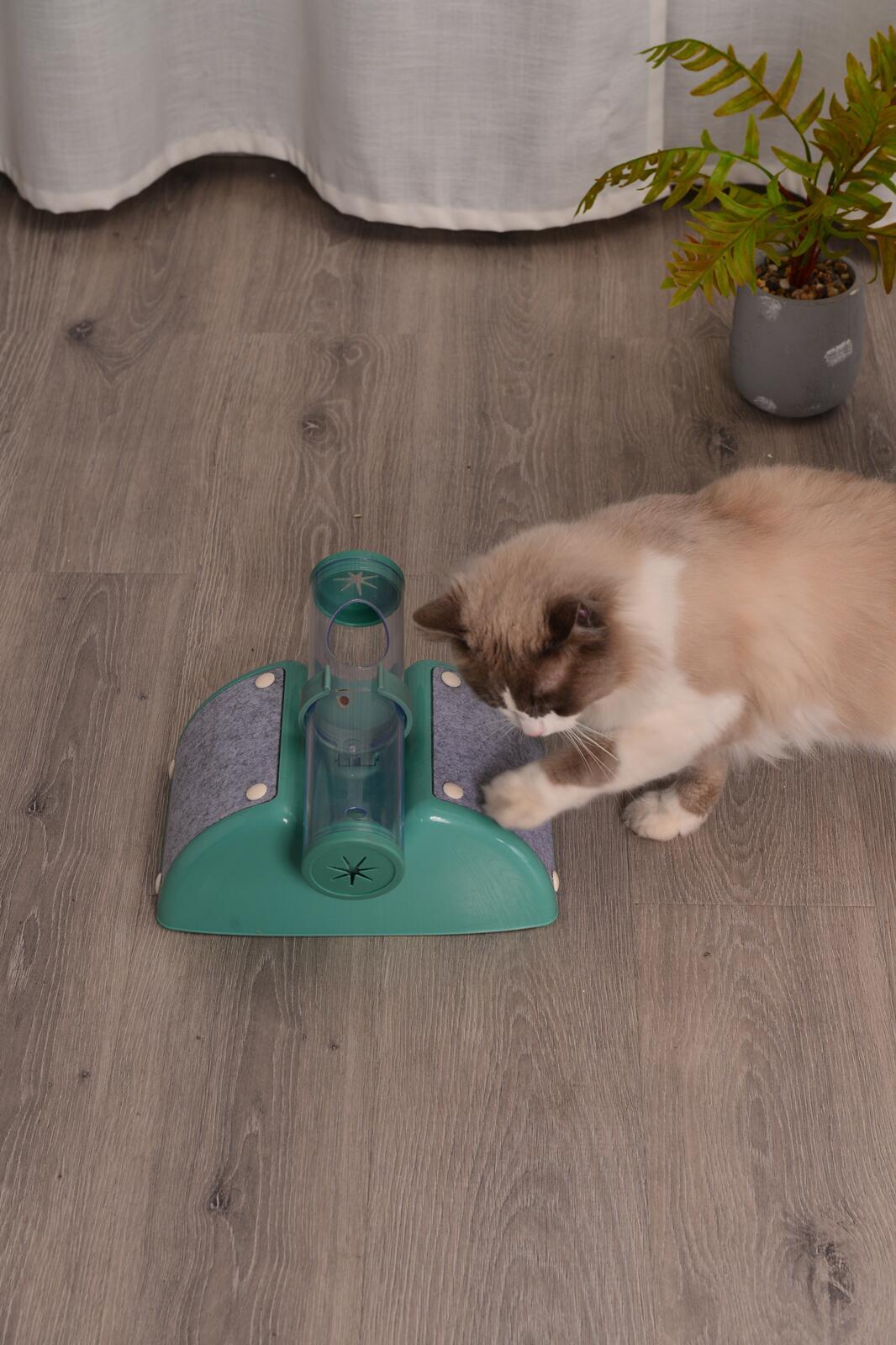 Cat Play Box Kit Pet Toy Kitten Toys Interactive Ball Peek Hunting Toy-Green V278-TY503-CAT-TOY-GREEN
