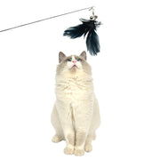 YES4PETS 2 X Pet Cat Toys Retractable Feathers Teaser Cat Stick Interactive Play V278-TY506-W-TY507-CAT-TOY