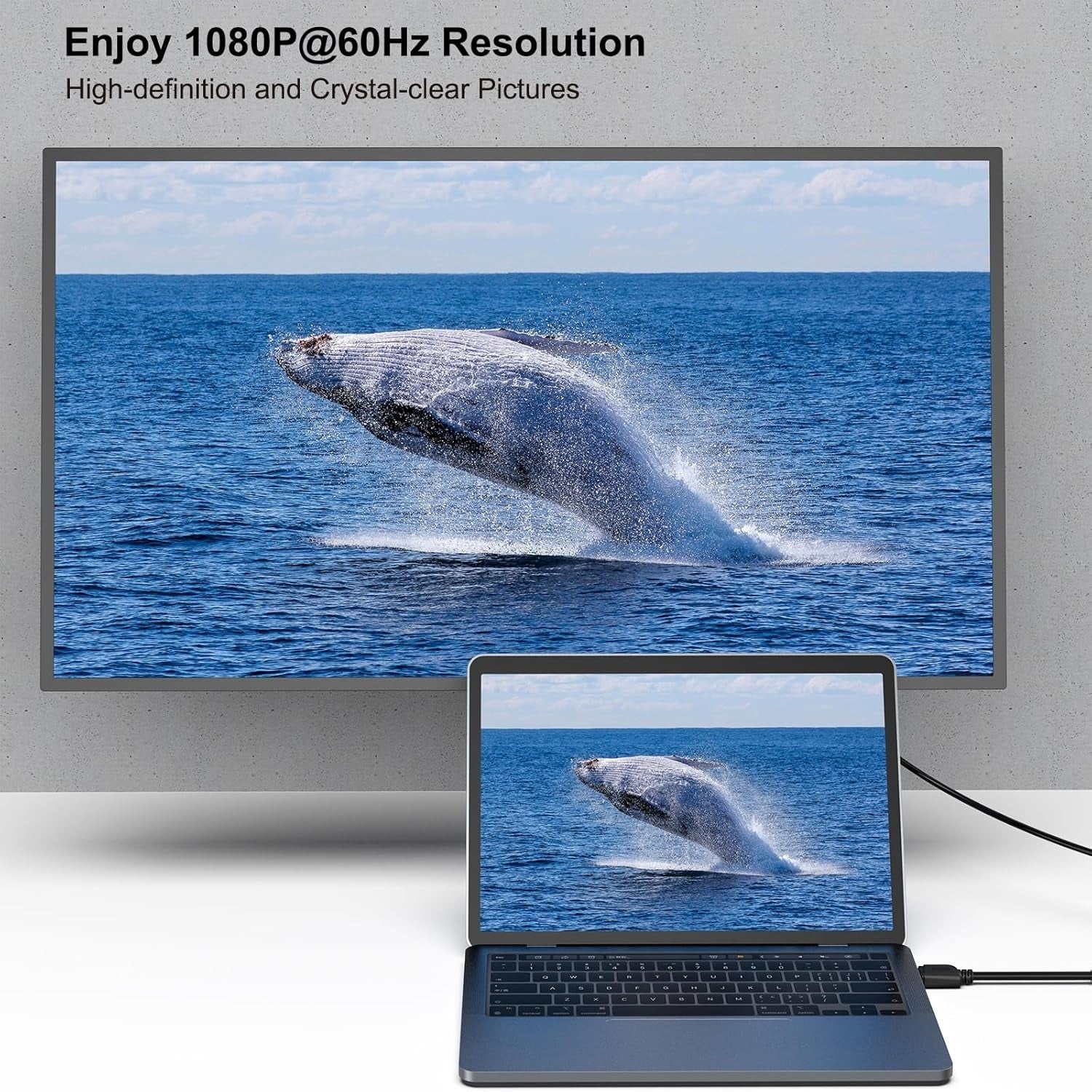 BENFEI HDMI to DVI, Bi Directional DVI-D 24+1 Male to HDMI Male High Speed Adapter Cable V28-ELEBEN189BK