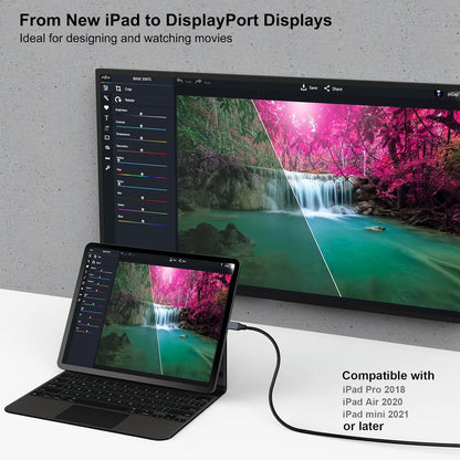 BENFEI USB-C to DisplayPort 3M (10 Feet) Cable(8K@60Hz 4K@144Hz) V28-ELEBEN207GY10F