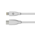 HP DHC-MF102 USB C to 8-pin iPhone Cable 1M (Sync and Power) V28-ELEHPDHCMF102