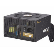 SeaSonic 750W FOCUS Gold PSU (SSR-750FM) V28-PSUSEA750FM