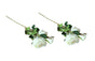 Artificial Rose Stems - Set of 2 Stems - 60cm with 3 Flowers Each - Off White V292-HD-PLANT-3STEMROSE-60CM-OFFWHITE-SO2