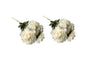 Artificial Bloomed Peony Bunch - Set of 2 Bunches - 45cm with 5 Flowers Each - White V292-HD-PLANT-BLOOMPEONY-45CM-WHITE-SO2