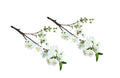 Artificial Single Stem Cherry Blossom 49cm -White - Set of 2 Bunch V292-HD-PLANT-CHERRYBLOSS-49CM-WHITE-SO2