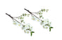 Artificial Single Stem Cherry Blossom 49cm -White - Set of 2 Bunch V292-HD-PLANT-CHERRYBLOSS-49CM-WHITE-SO2