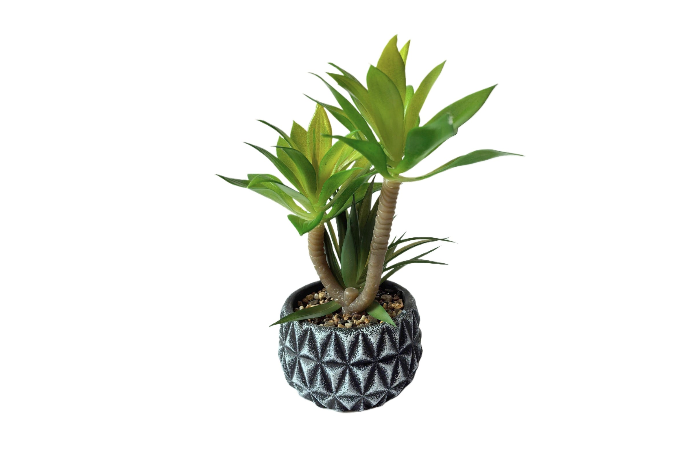 Diamond Pattern Pot Succulent Plant V292-HD-PLANT-DIAMOND-POT