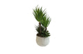 White Pot Succulent Plant 23cm V292-HD-PLANT-WHITE-POT