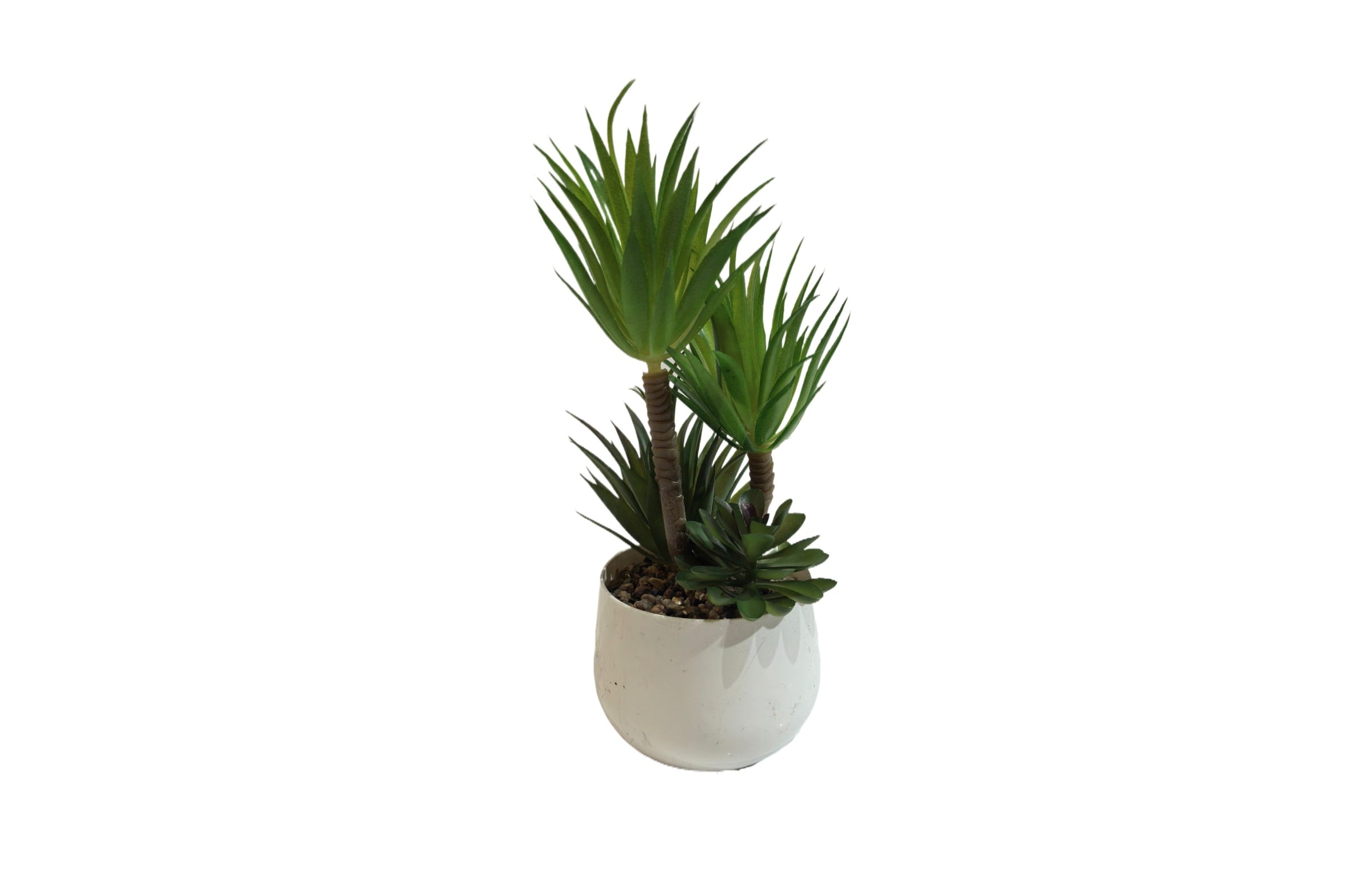White Pot Succulent Plant 23cm V292-HD-PLANT-WHITE-POT