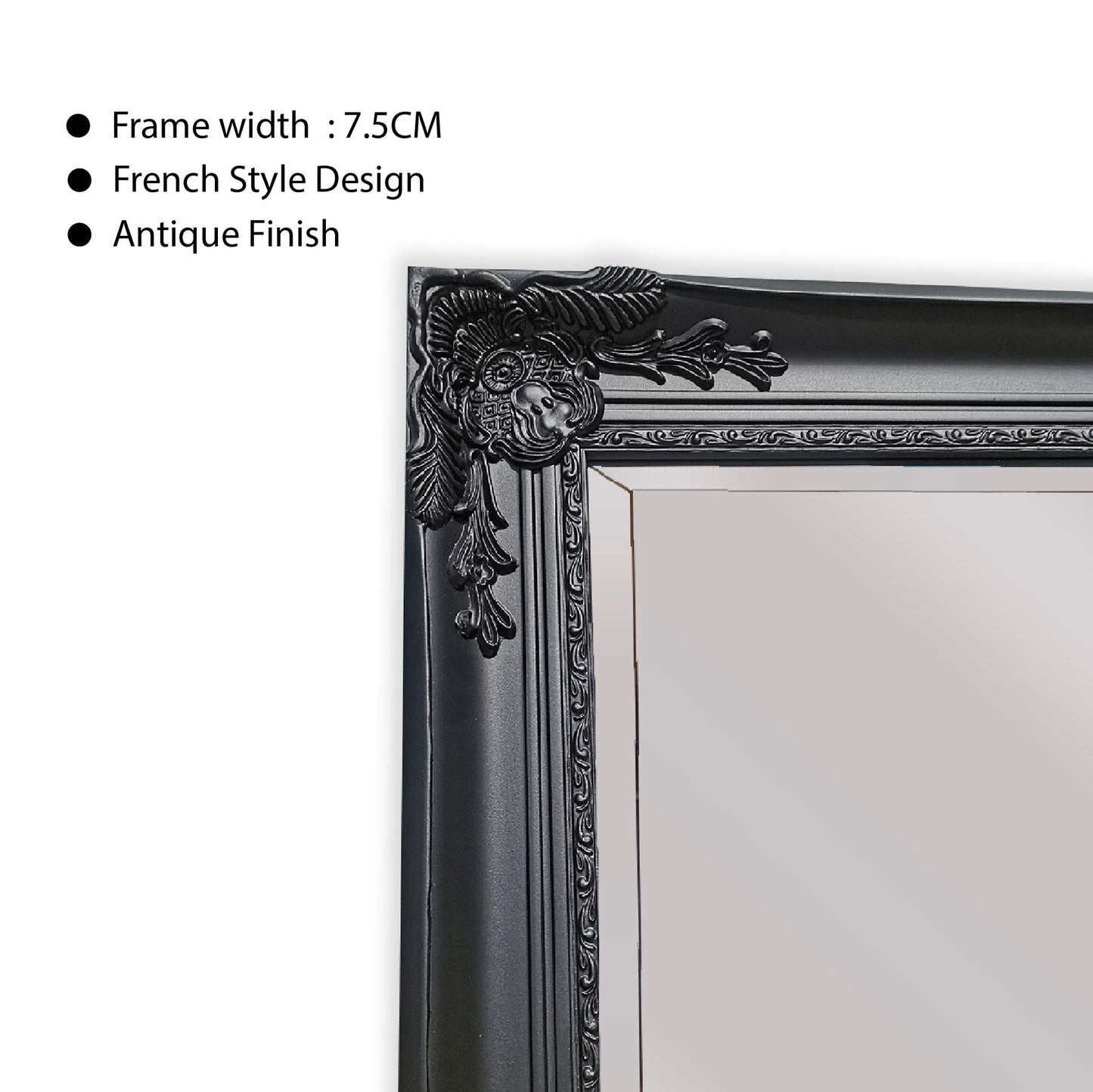 French Provincial Ornate Mirror - BLACK - X Large 100cm x 190cm V292-MIRR-FRN003