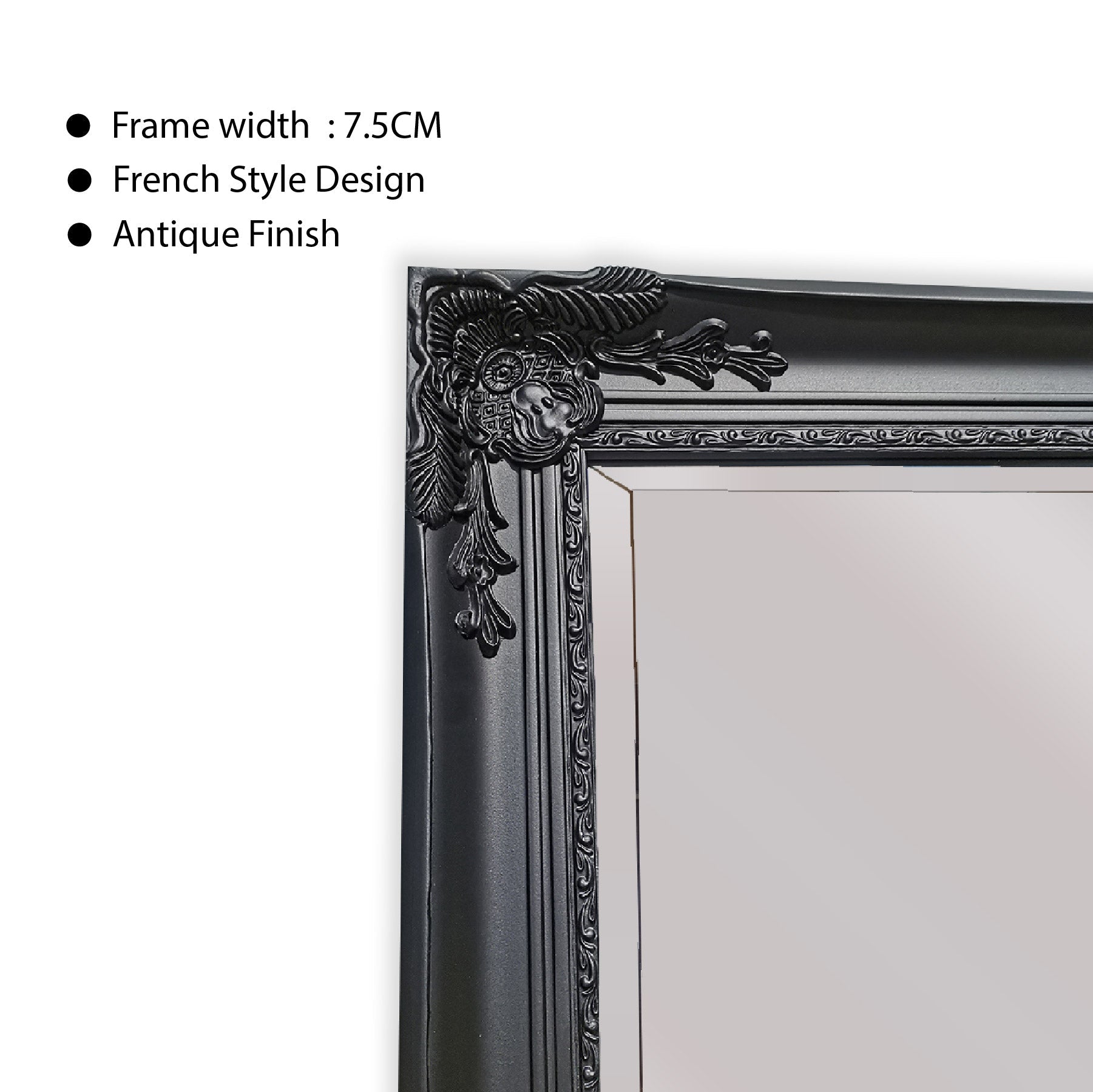 French Provincial Ornate Mirror - BLACK - X Large 100cm x 190cm V292-MIRR-FRN003