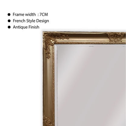 French Provincial Ornate Mirror - Champagne - Medium 70cm x 170cm V292-MIRR-FRN007