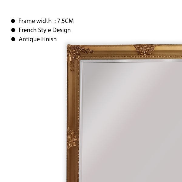French Provincial Ornate Mirror - Country Gold - Medium 70cm x 170cm