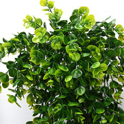 2 Pack 76cm Artificial Eucalyptus Plants Fake Plants FauxHome Garden Window Office Wedding Decoration V324-2XFK-YJLHAN