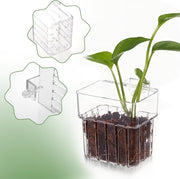 2pc Aquarium Plant Holder Clear Hanging Aquatic Planters with Hooks for Fish Tank Decor V324-2XFTPLANTER
