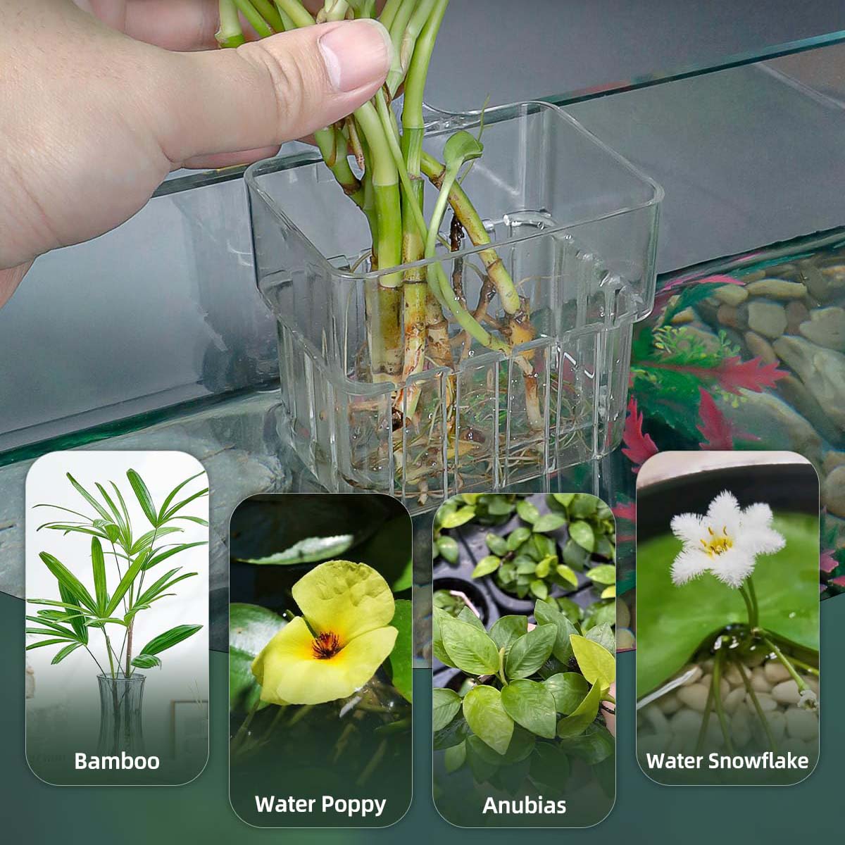 2pc Aquarium Plant Holder Clear Hanging Aquatic Planters with Hooks for Fish Tank Decor V324-2XFTPLANTER