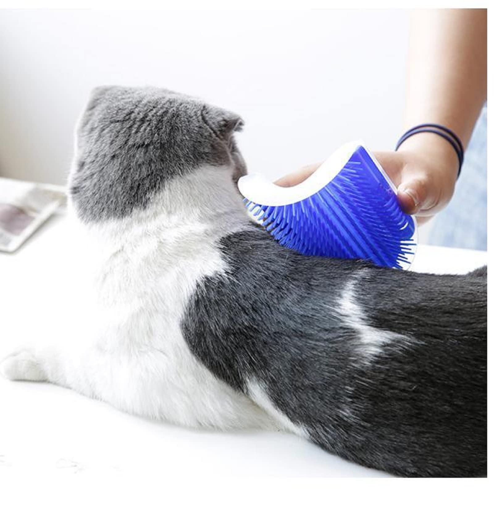 Cat Self Groomer Catnip Dog Cat Toy Corner Groomer Wall Corner Scratcher Comb Grooming Massage Brush Blue V324-CATWALLSCRA-BLUE