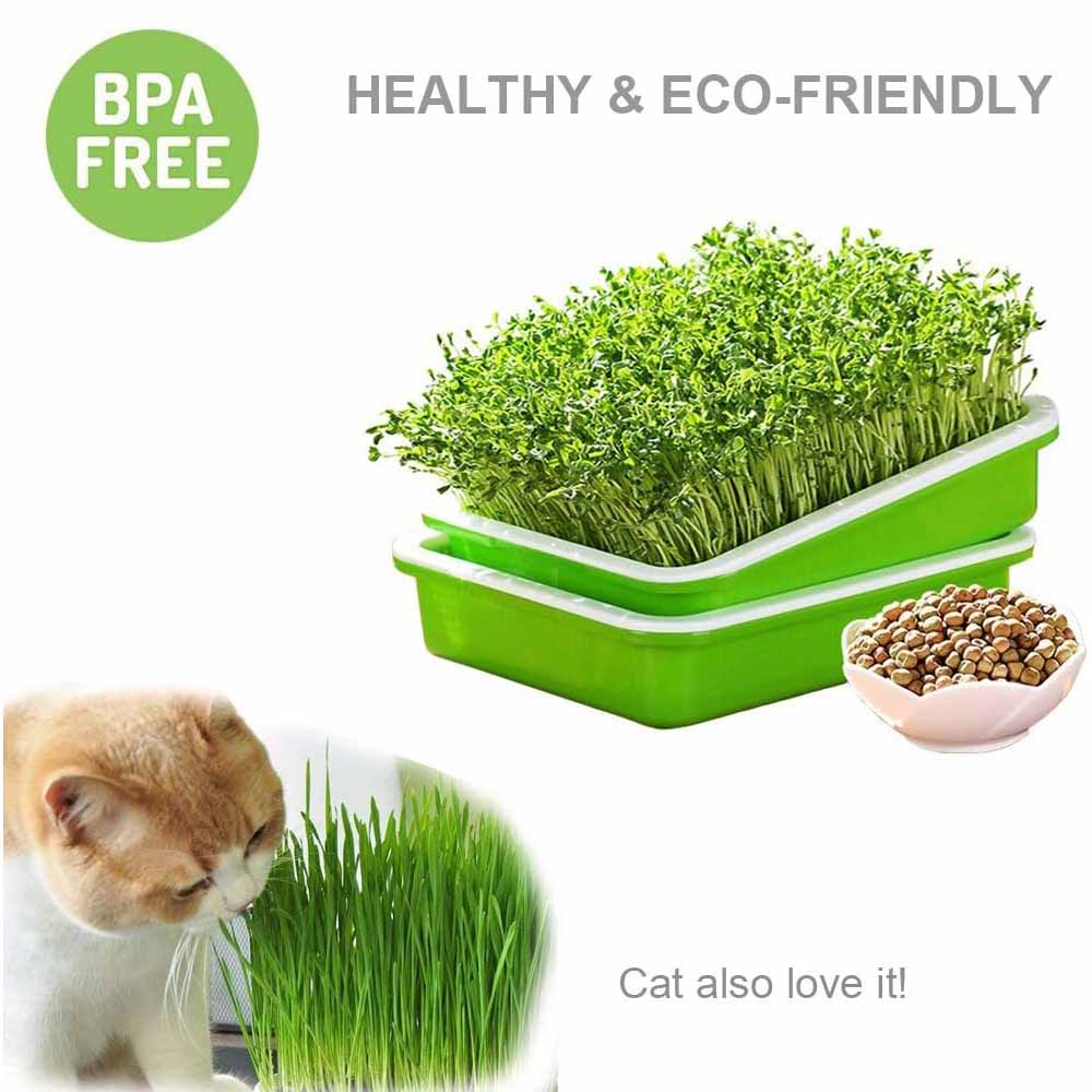2-Pack Seed Sprouter Trays with Lids BPA-Free, Soil-Free Wheatgrass Growing Kit for Beans, Sprouts, V324-GD-2XSPRTRAY