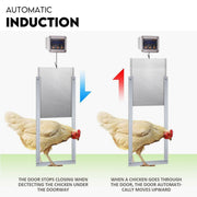 Automatic Chicken Coop Door Opener Cage Closer Timer and Light Sensor V379-CHKNCOOP02