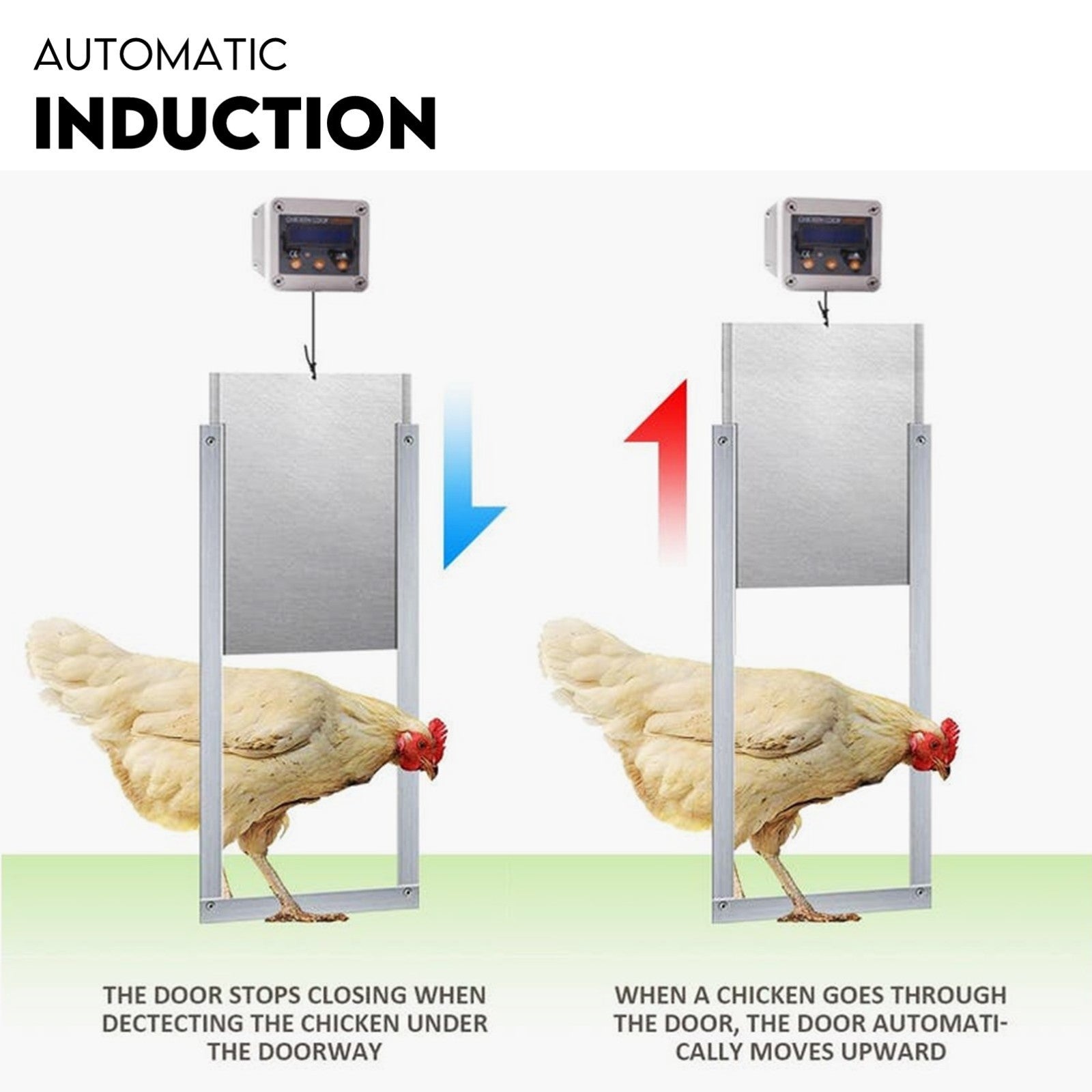 Automatic Chicken Coop Door Opener Cage Closer Timer and Light Sensor V379-CHKNCOOP02