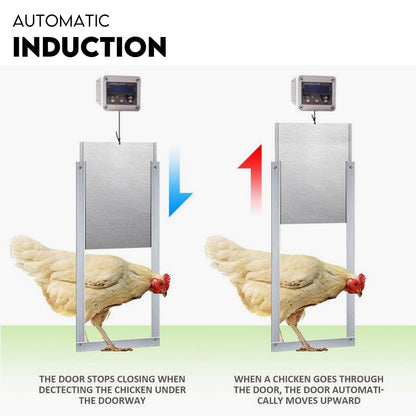 Automatic Chicken Coop Door Opener Cage Closer Timer and Light Sensor V379-CHKNCOOP02