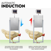 Chicken Coop Door with Digital LCD Screen to manage Timer and Sensor V379-CHKNCOOP025009