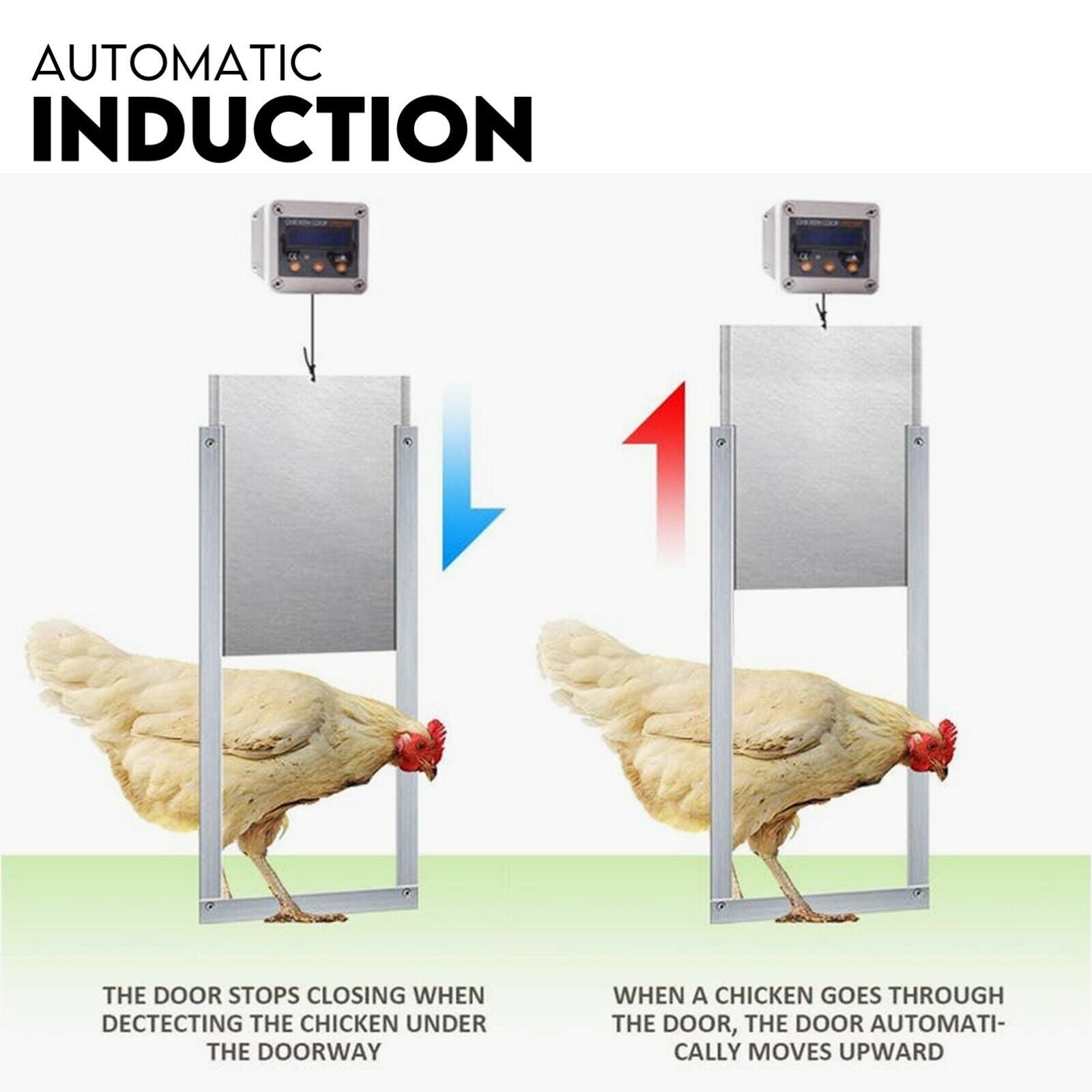 Chicken Coop Door with Digital LCD Screen to manage Timer and Sensor V379-CHKNCOOP025009
