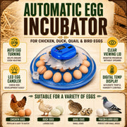 26 Egg Hatching Incubator Machine Automatic Turning Digital LED Chicken Duck