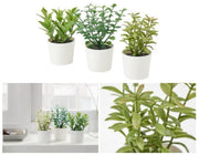 3 Pack of Artificial Herb Potted Plants in White Plastic 5cm Pot Interior Decoration V382-3HERBINPOTWHITE