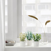 3 Pack of Artificial Herb Potted Plants in White Plastic 5cm Pot Interior Decoration V382-3HERBINPOTWHITE