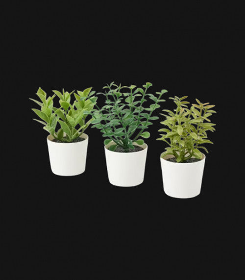3 Pack of Artificial Herb Potted Plants in White Plastic 5cm Pot Interior Decoration V382-3HERBINPOTWHITE