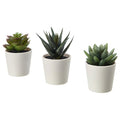 3 Pack of Artificial Succulent Potted Plants in White Plastic 6cm Pot Interior Decoration V382-3SUCCULENTPOTTED