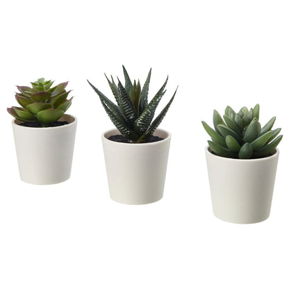 3 Pack of Artificial Succulent Potted Plants in White Plastic 6cm Pot Interior Decoration V382-3SUCCULENTPOTTED